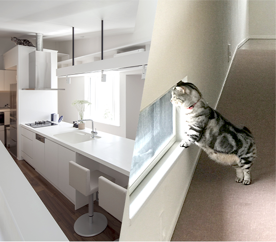 リノベーションに使えるオプションプランが豊富